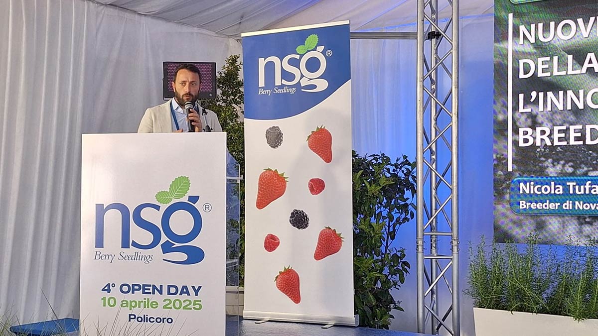 Nicola Tufaro, breeder di NSG